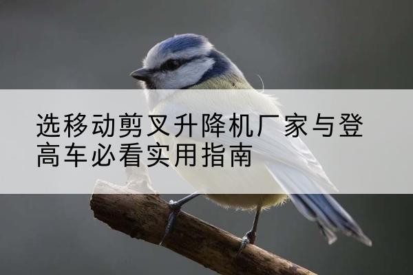 围场电动升降机厂家-选移动剪叉升降机厂家与登高车必看实用指南