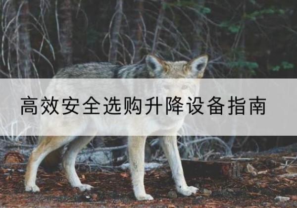 围场升降货梯厂家推荐-*安全选购升降设备指南