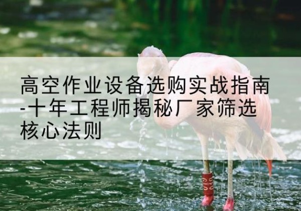 围场剪叉式升降机厂家-高空作业设备选购实战指南-十年工程师揭秘厂家筛选核心法则